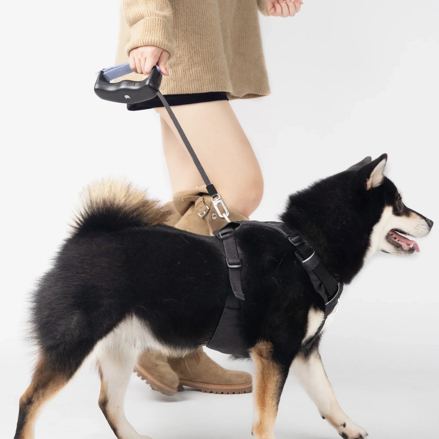 Collars & Leashes