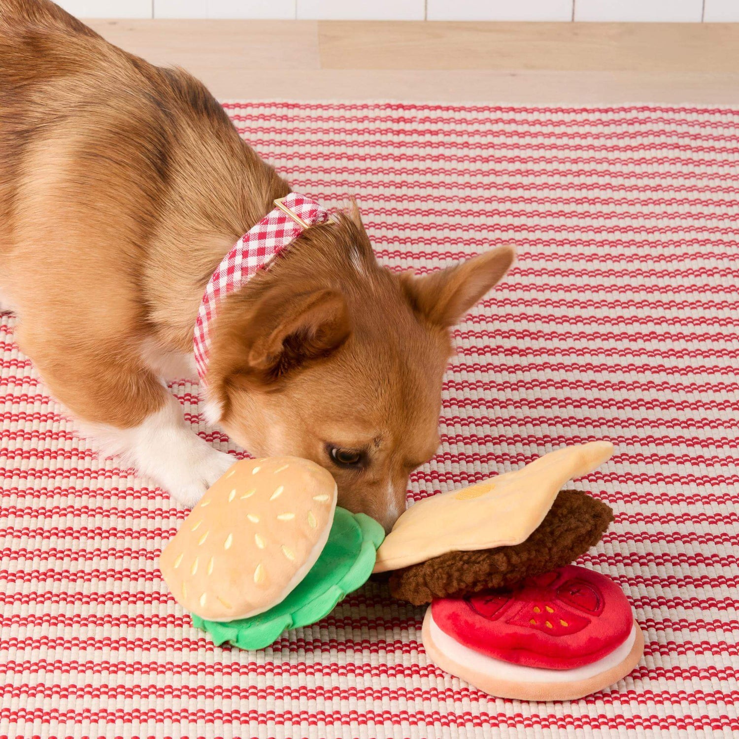 Pet Toys
